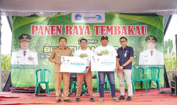 Bupati Lamongan Yuhronur Efendi dan petani mengikuti panen raya tembakau di Dusun Sahar, Desa Wateswinangun, Kecamatan Sambeng, Lamongan, Jawa Timur, Selasa (16/9/2025). (Foto : Kominfo Lamongan)
