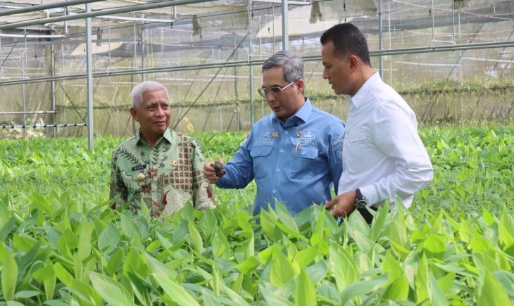 Foto : Wamentan Ingatkan Pentingnya Hilirisasi Melalui BUMD.