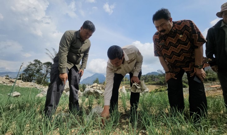 Kementan percepat transformasi pertanian lahan kering di Enrekang melalui Program HDDAP. (Foto : Kementan)