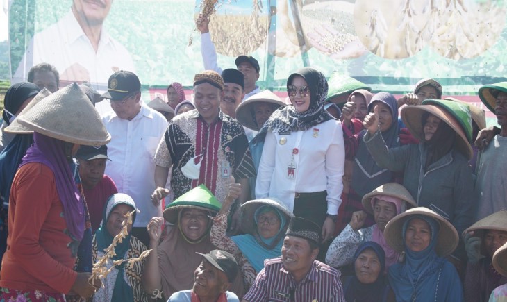Foto : Kegiatan Pengelolaan Produksi Kedelai, melalui Gerakan Merdeka Panen Kedelai di Desa Burikan, Kec. Cawas, Kab. Klaten .