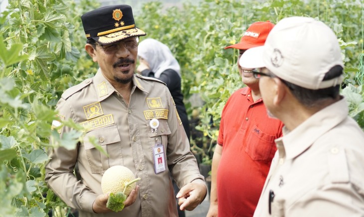 Direktur Buah dan Florikultura Liferdi Lukman melakukan panen melon perdana di lahan green house Desa Gekbrong, Kecamatan Gekbrong, Kabupaten Cianjur. (Dok. Kementan)