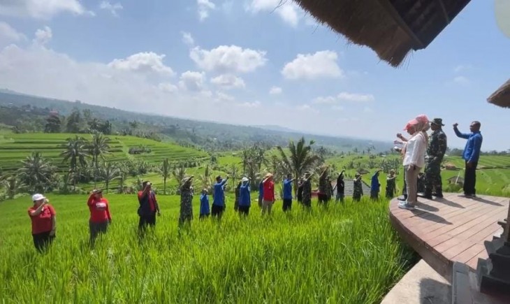 Program PAT Padi di Bali Meningkat Tajam, Tabanan Capai 383%. (Foto: Dok. Kementan)