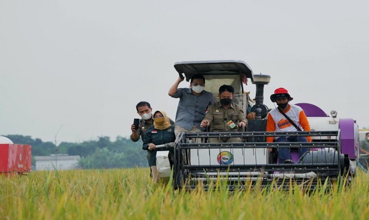 Foto : Kementan berkolaborasi dengan BUMN untuk Menyerap Gabah Petani.