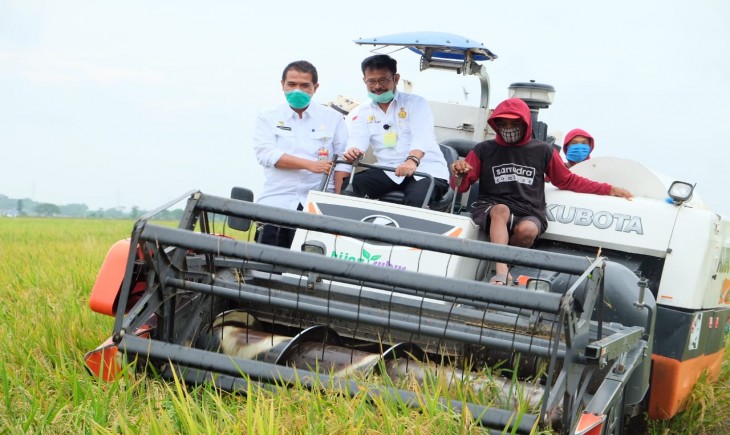 Foto : Sektor Pertanian Merupakan Tulang Punggung Ekonomi Nasional.