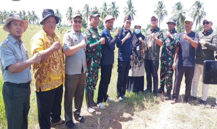 Kementan Pacu Percepatan Perluasan Areal Tanam di Provinsi Kalimantan Selatan. (Foto: Dok. Kementan)