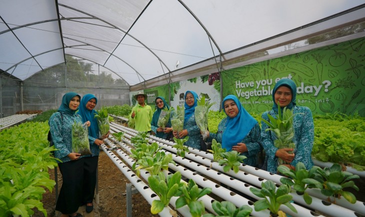 Para perempuan dan ibu mendapat kesempatan belajar tata cara menanam sayuran hidroponik sekaligus memanen sayuran di Saung Hydroponic besutan Royal Safari Garden Bogor itu.