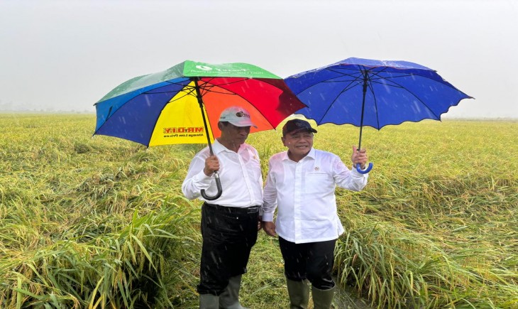 Menteri Pertanian Andi Amran Sulaiman melakukan kunjungan kerja ke Desa Nggu Mutibbob , Kecamatan Tanah Miring, Kabupaten Merauke, Provinsi Papua Selatan. (Foto: Dok. Kementan)