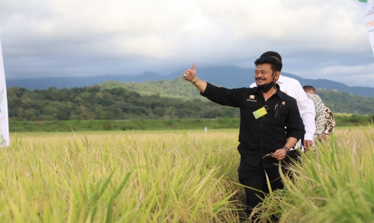 Foto : Menteri Pertanian Syahrul Yasin Limpo.
