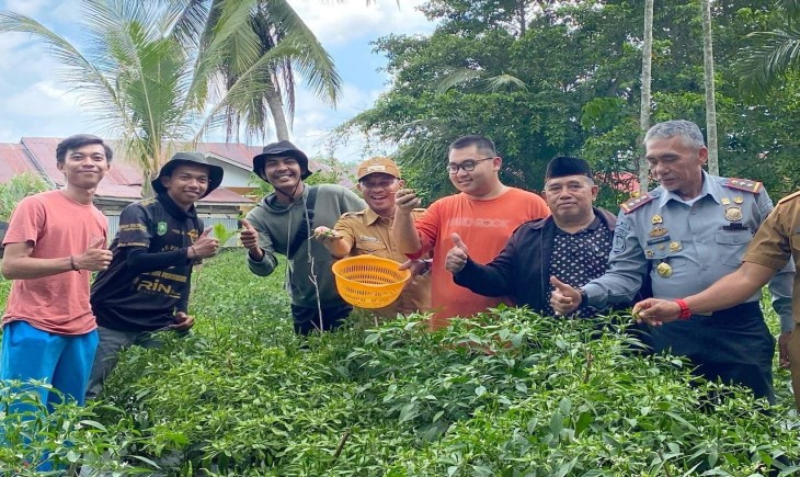 Wabup Bengkalis, Bagus Santoso saat mengikuti panen cabai milik petani milenial (pemkab Bengkalis)