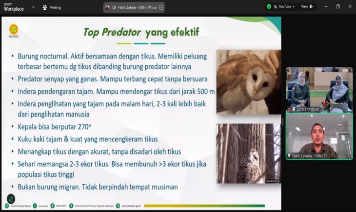 Ngobrol Asik (Ngobras) Volume 23 yang bertemakan “Burung Hantu Lawan Hama Tikus’, Selasa (23/07/2024). (Foto: Dok. Kementan)