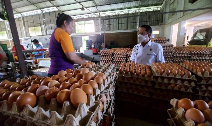 Produksi Telur Indonesia Melimpah dan Harga Stabil di Tengah Fenomena ‘Eggflation’. (Foto: Dok. Kementan)