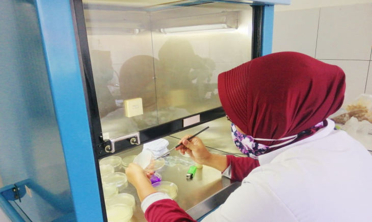 Foto : Laboratorium Pengamatan Hama dan Penyakit (LPHP). Sumber Foto : Direktorat Perlindungan Tanaman Pangan
