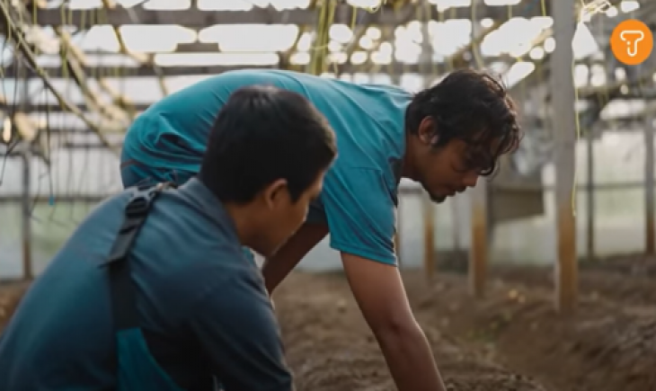 Fendi Setiawan sukses jadi petani melon dengan sistem modern green house. (IST)