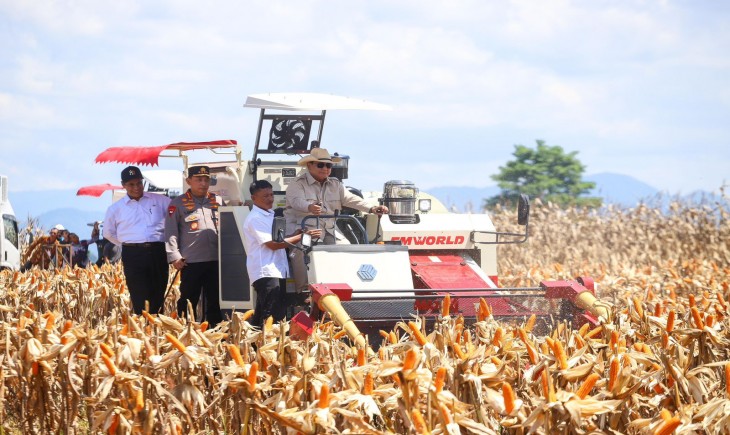 BPS: Produksi Jagung 2025 Naik 6,44%, Tembus 16,11 Juta Ton. (Foto: dok. Kementan)