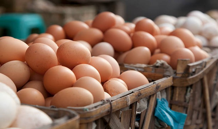 Ilustrasi kenaikan harga telur ayam (Istimewa)