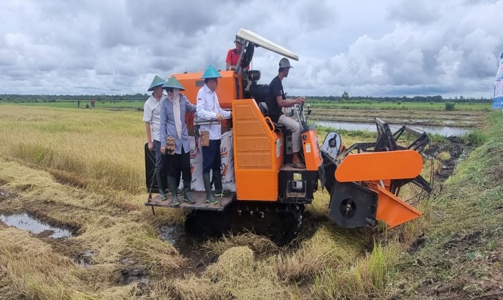Warga Merauke Mulai Tanam di Sawah Baru, Optimisme Kesejahteraan Meningkat. (Foto: Dok. Kementan)