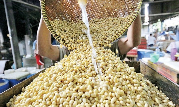 Petani kedelai sedang membersihkan kedelai yang siap pakai (Istimewa)