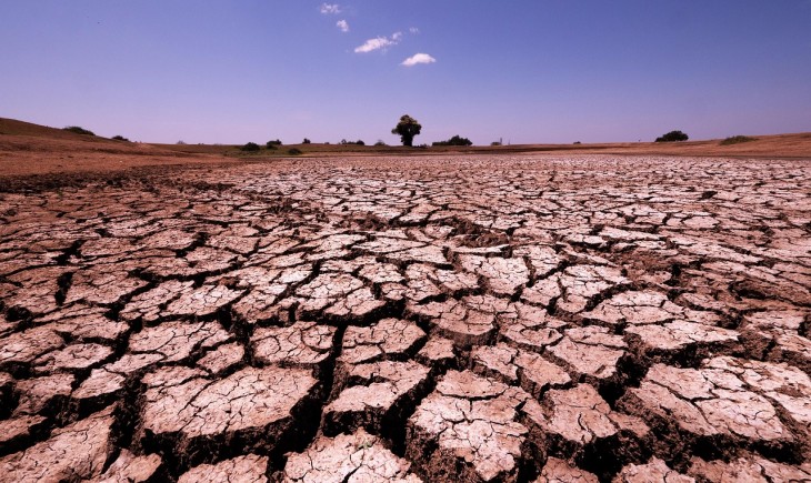 Krisis iklim di Afrika makin parah, produksi pangan terancam turun drastic. (Foto : pixabay)