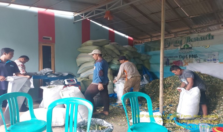 Foto : Upaya Menjaga Produksi Pangan Nasional Tahun ini Dihadapkan pada Tingginya Tantangan Terhadap Anomali Cuaca.