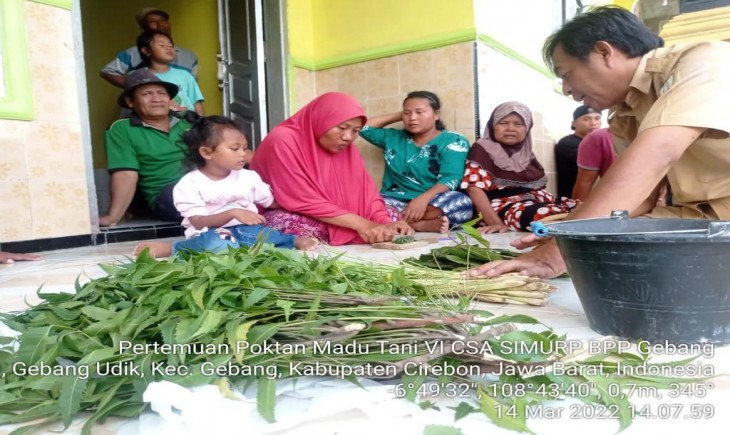 Foto : Kegiatan Pertemuan Kelompok Tani Madu Tani VI CSA SIMURP BPP Gebang, Cirebon.