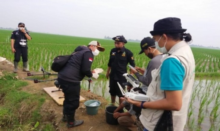 Foto : Pengendalian OPT Menggunakan Drone Yang Dilakukan Di Subang.