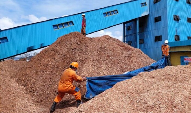 Limbah kayu Situbondo jadi bahan bakar PLTU Paiton. (Foto : dok. PLN)