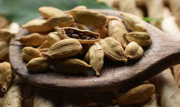 Kapulaga untuk tingkatkan imunitas. (Foto : Alodokter)