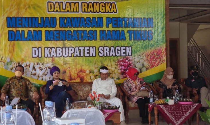 Foto : Kementerian Pertanian Meninjau Kawasan Pertanian Dalam Mengatasi Hama Tikus di Kabupaten Sragen.