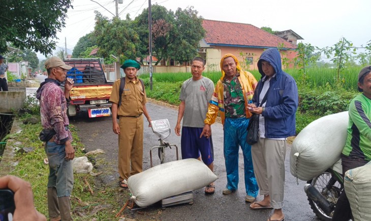 Bulog Jemput Gabah Petani di Karanganyar, Harga Tetap Rp6.500 per Kilogram. (Foto: Dok. Infokota.online)