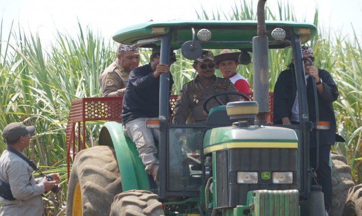 Mentan SYL didampingi Direktur Jenderal Perkebunan melakukan panen tebu di Desa Sidamulya kecamatan Astanajapura, Cirebon, Jawa Barat, Selasa (11/07). (Dok. Kementan)
