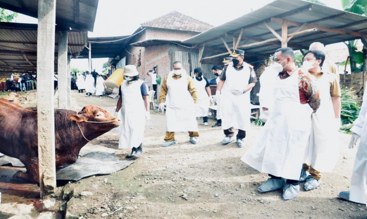 Foto : Anggota Tenaga Medis yang Menangani PMK pada Hewan Ternak Sapi.