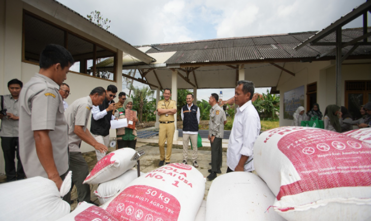 Foto: Bulog Serap Gabah dari Lahan Produktivitas Polbangtan Kementan, Perkuat Ketahanan Pangan Nasional.