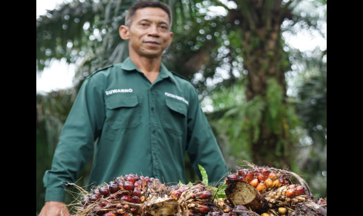 Kementan Pastikan Produksi CPO 2026 Aman untuk Pasokan Minyak Goreng Jelang Idulfitri 1447 H. (Foto: dok. Kementan)