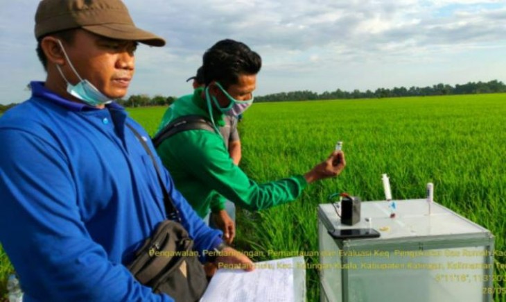 Foto : Ilustrasi Petani. Sumber Foto : Swadayaonline