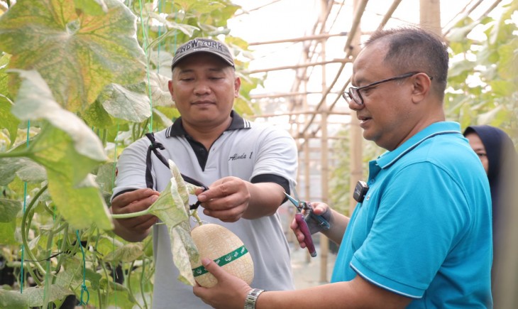 KWT di Bekasi sukses panen raya melon dan dapat apresiasi Pj Wali Kota Bekasi Raden Gani Muhamad. (Pemkot Bekasi)