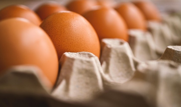 Surplus telur dan beras jadi modal Indonesia hadapi tarif AS. (Foto : Pixabay)