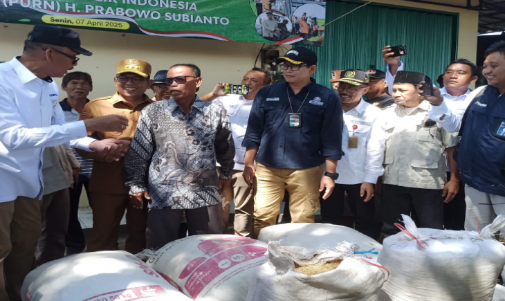 Pemerintah Provinsi Banten turut ambil bagian dalam Panen Raya Padi Serentak yang dilaksanakan pada Senin, (07/04/2025). (Foto: dok. Kementan)