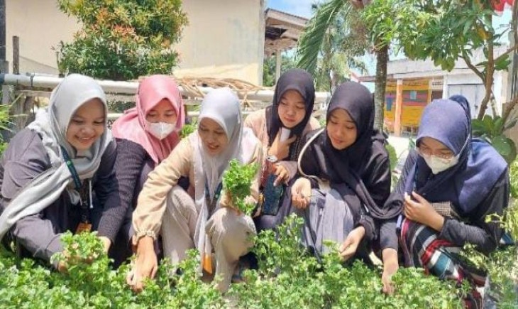 Kegiatan KKN Universitas Riau, di Kampung Lubuk Dalam sosialisasi stunting dan praktik pembuatan olahan pangan berbahan dasar bayam Brazil (datariau.com)