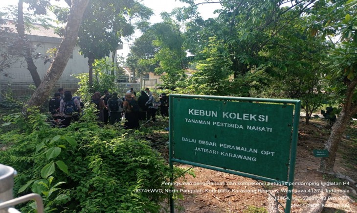 Foto : Kebun Koleksi Tanaman Pestisida Nabati di daerah Karawang.