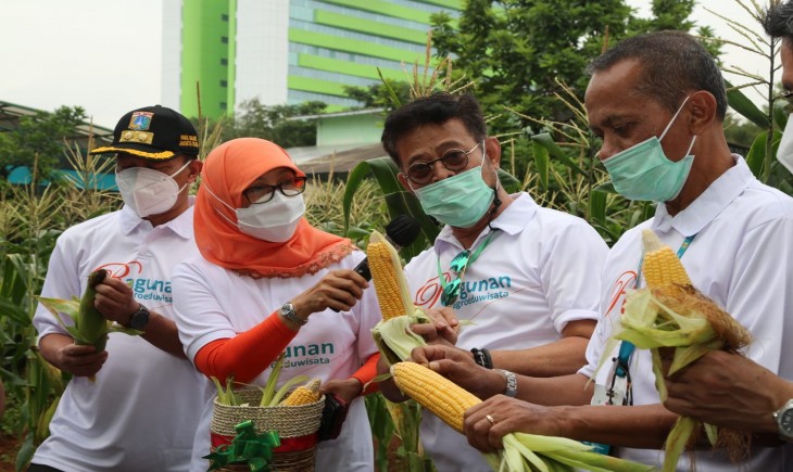 Foto : Ditjen Tanaman Pangan Menyediakan Bahan Pengendalian OPT Yang Ramah Lingkungan.