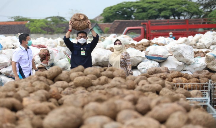 Foto : UMKM Siap Produksi Olahan Porang.