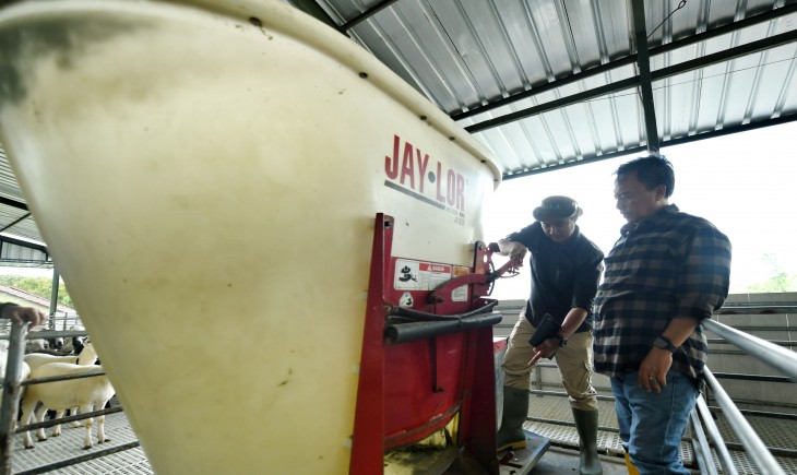 Foto: Sekda Jabar Herman Suryatman meninjau UPTD Balai Pengembangan Perbibitan Ternak Domba dan Kambing Margawati Dinas Ketahanan Pangan dan Peternakan di Kelurahan Sukanegla, Kec. Garut Kota, Kab. Garut, Sabtu (4/1/2025).