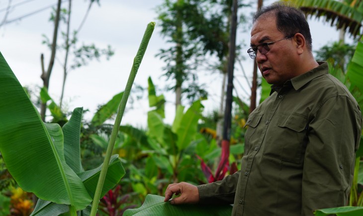 Sosialisasi dan Monitoring HDDAP di Desa Pakel Dorong Pengembangan Pisang Mas Kirana Berkelanjutan. (Foto: dok. Kementan)