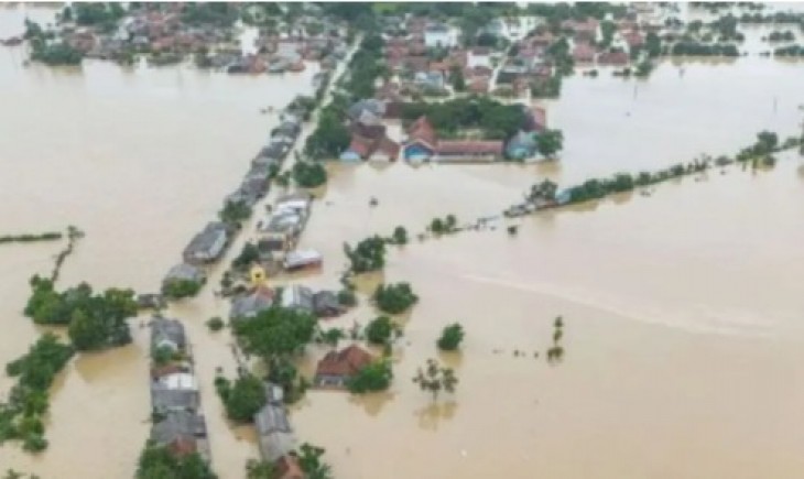 Hampir 2.000 hektare areal persawahan di Karawang, Jawa Barat,  terendam banjir rob yang terjadi dalam beberapa hari terakhir. (Foto : Antara)
