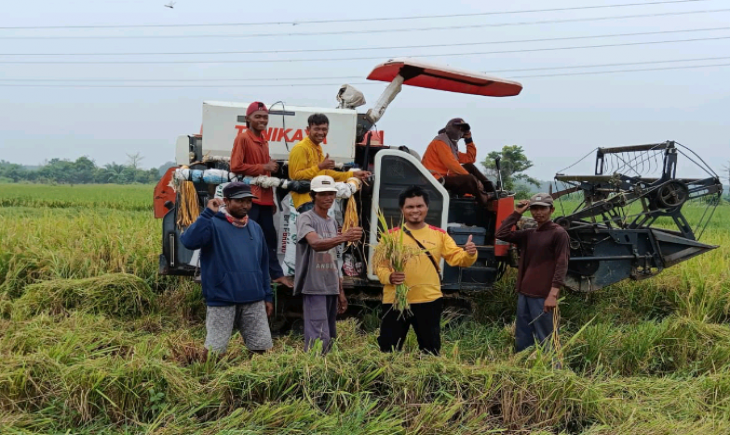 Panen Padi Gogo. (Foto: Dok. Ahmad Suryana)