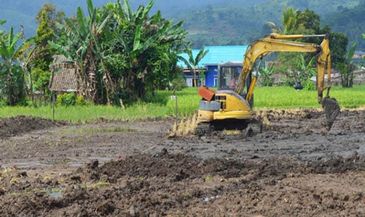 Alat berat Traktor sedang mengeruk sawah (Jawapos.com)