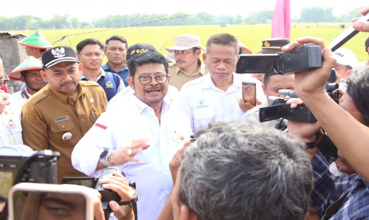Mentan SYL meninjau dan melakukan panen padi hasil aplikasi Biosaka di Desa Kersikan, Kecamatan Geneng, Ngawi, Jawa Timur. (Dok. Kementan)