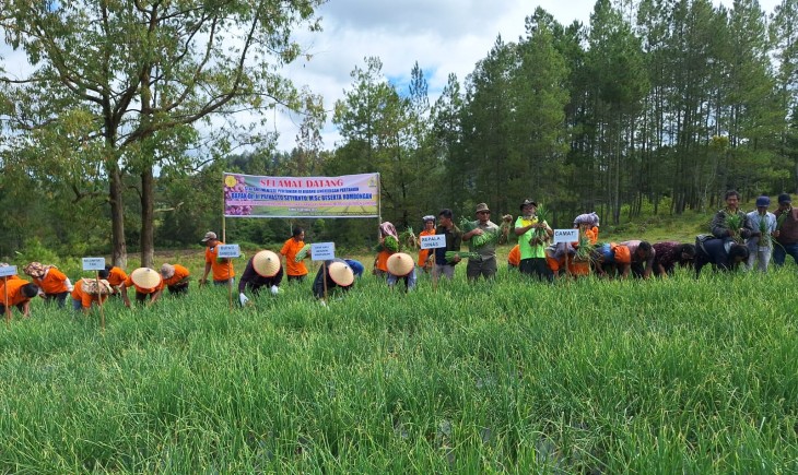 Staf Ahli Menteri Pertanian RI Bidang Lingkungan Pertanian, Prihasto Setyanto, melakukan kunjungan kerja ke Kabupaten Samosir dalam rangka meninjau kawasan pertanian Bawang Merah di Kawasan Danau Toba, Kamis (17/10). (Dok. Kementan)