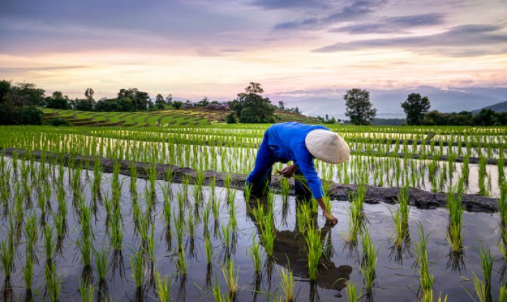 “Ilustrasi” Smart Farming. (Foto: iStockphoto)