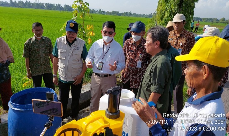 Foto : Gerakan Pengendalian secara Preemtif dengan menggunakan Agens Pengendali Hayati (APH) oleh Kelompok Tani Margo Rukun di Dusun Kadisoro.